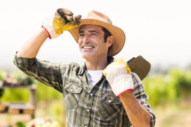 Agenor Vicente Pelissa