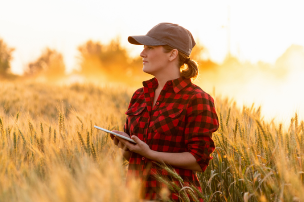 João Eustáquio De Almeida Junior analisa as principais diferenças entre a agricultura tradicional e a moderna e como essas mudanças impactam a produção atual.