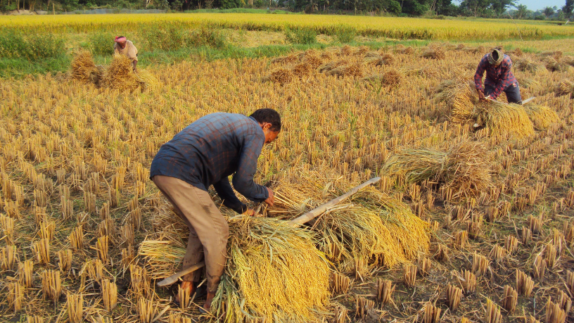 Da agricultura tradicional à moderna, João Eustáquio De Almeida Junior explica o que mudou no campo e quais são os reflexos para o futuro do agronegócio.