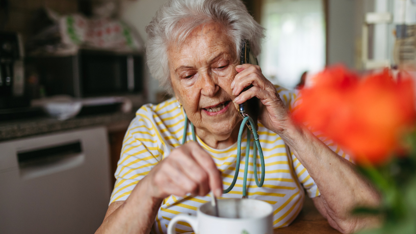 Sindnapi - Sindicato Nacional dos Aposentados, Pensionistas e Idosos